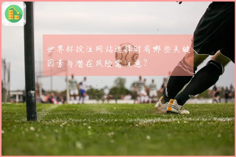 世界杯投注网站选择时有哪些关键因素与潜在风险需注意？
